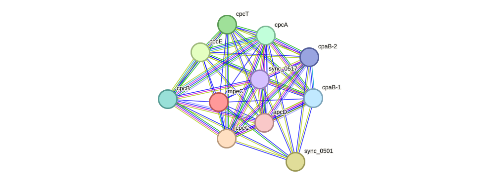 STRING protein interaction network