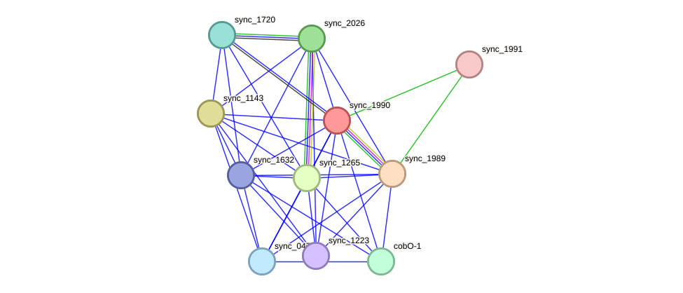STRING protein interaction network