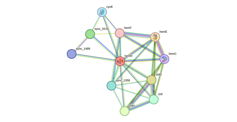 STRING protein interaction network