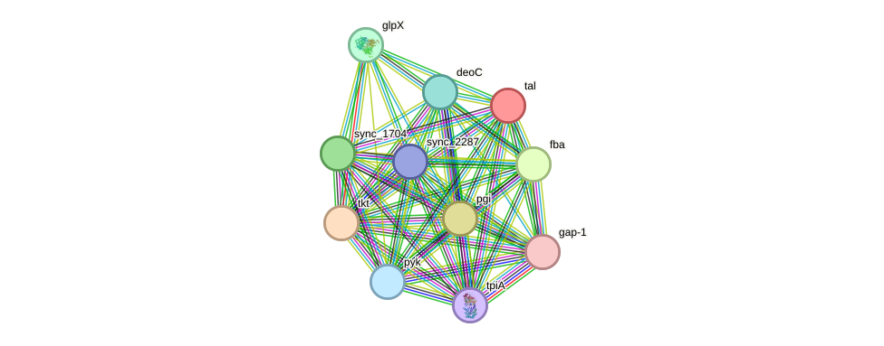 STRING protein interaction network
