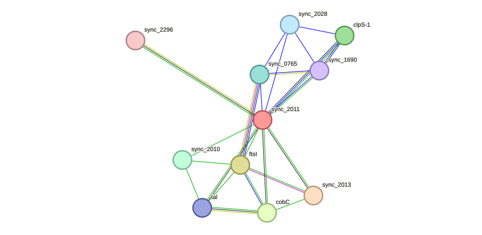 STRING protein interaction network