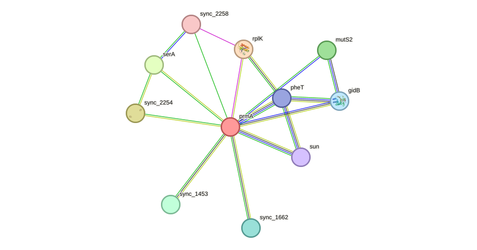 STRING protein interaction network