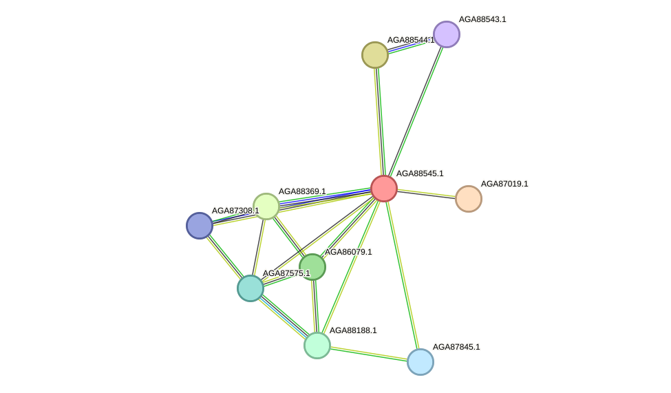 STRING protein interaction network