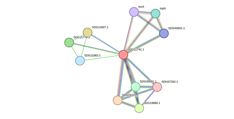 STRING protein interaction network