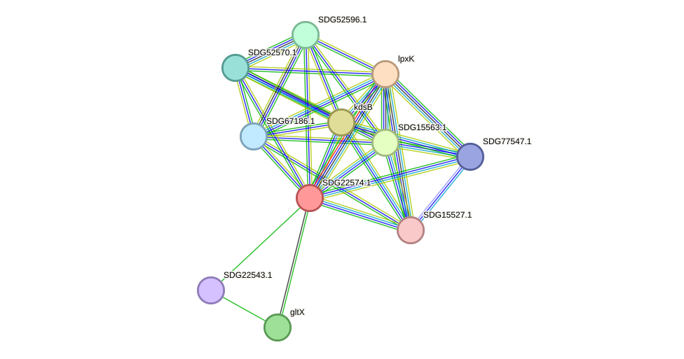 STRING protein interaction network