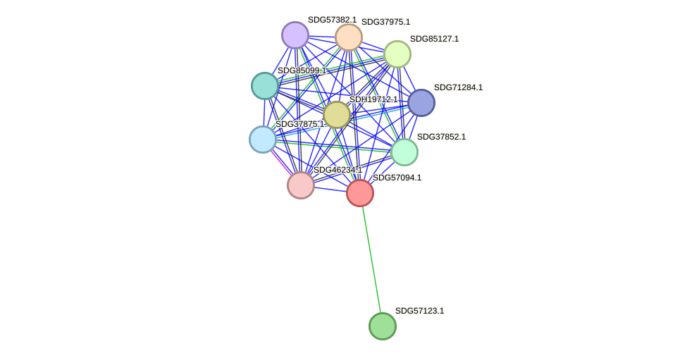 STRING protein interaction network