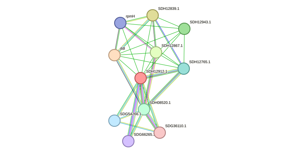 STRING protein interaction network