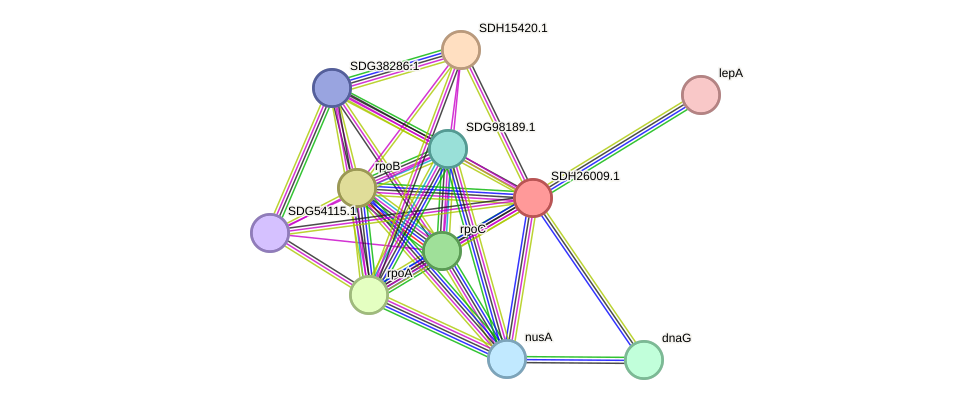 STRING protein interaction network