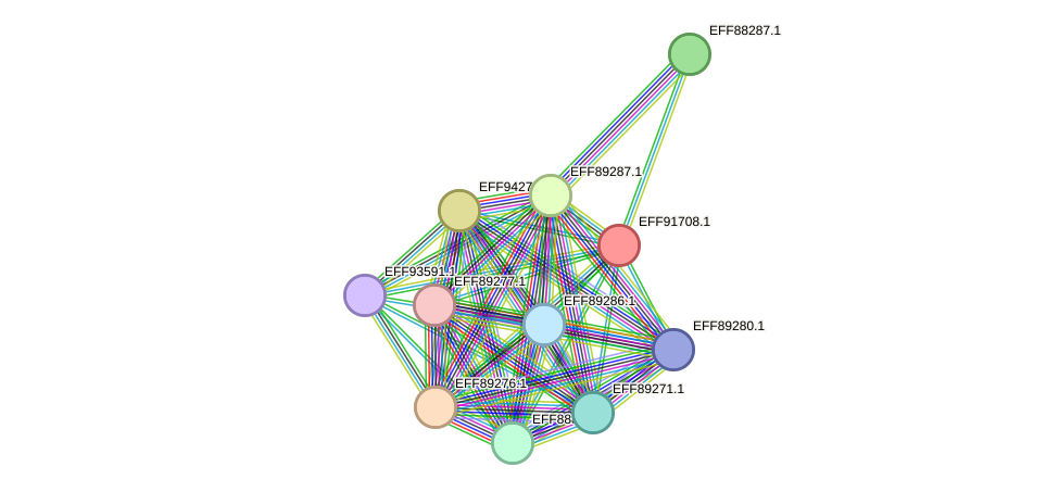 STRING protein interaction network