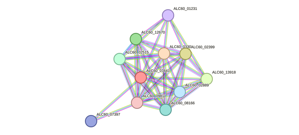 STRING protein interaction network