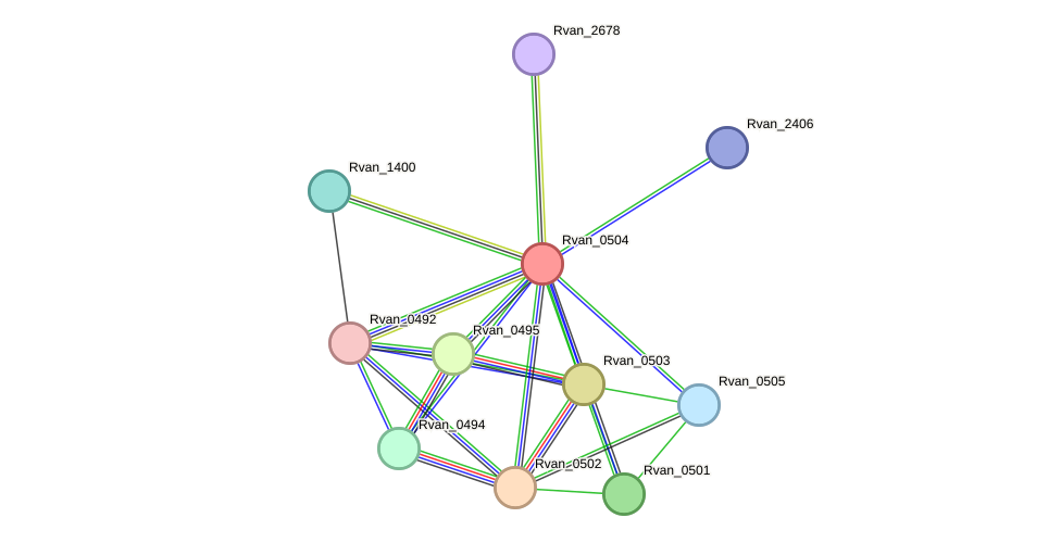 STRING protein interaction network