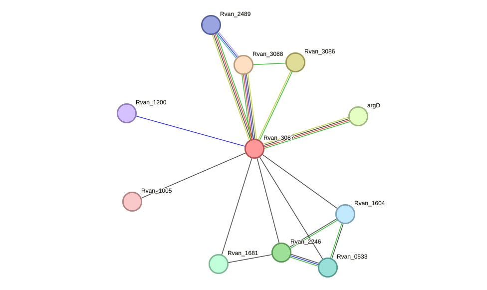 STRING protein interaction network