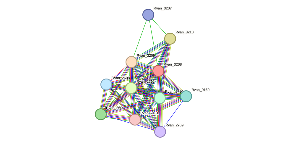 STRING protein interaction network