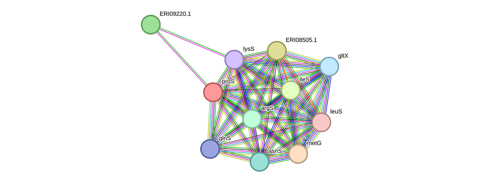 STRING protein interaction network