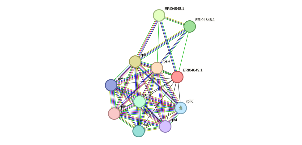 STRING protein interaction network