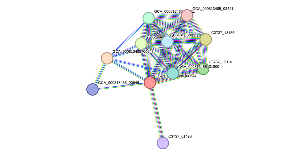 STRING protein interaction network