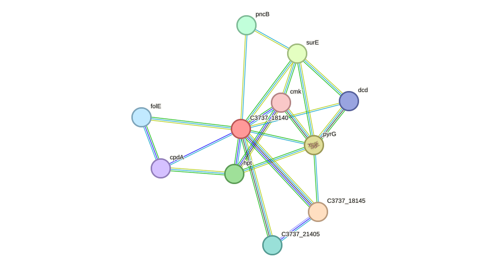 STRING protein interaction network