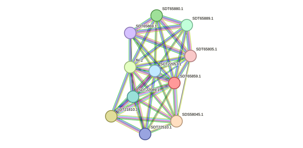 STRING protein interaction network