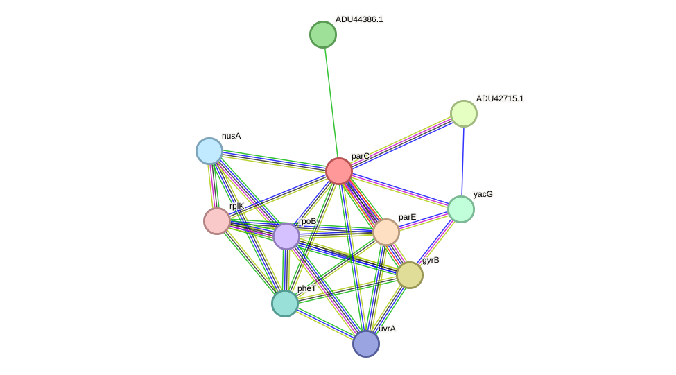 STRING protein interaction network