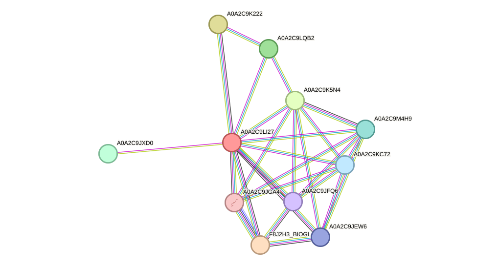 STRING protein interaction network