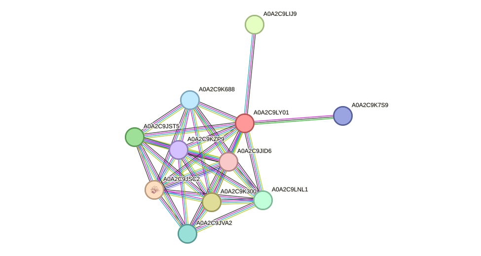 STRING protein interaction network