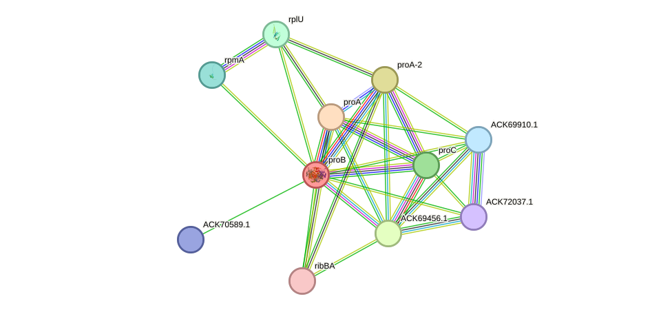 STRING protein interaction network