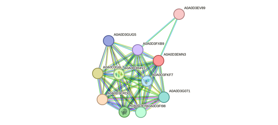 STRING protein interaction network