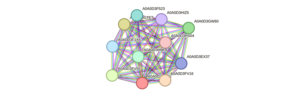 STRING protein interaction network