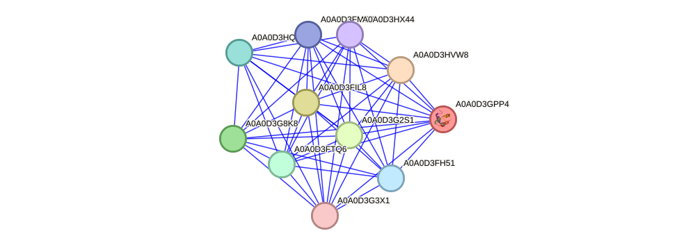 STRING protein interaction network