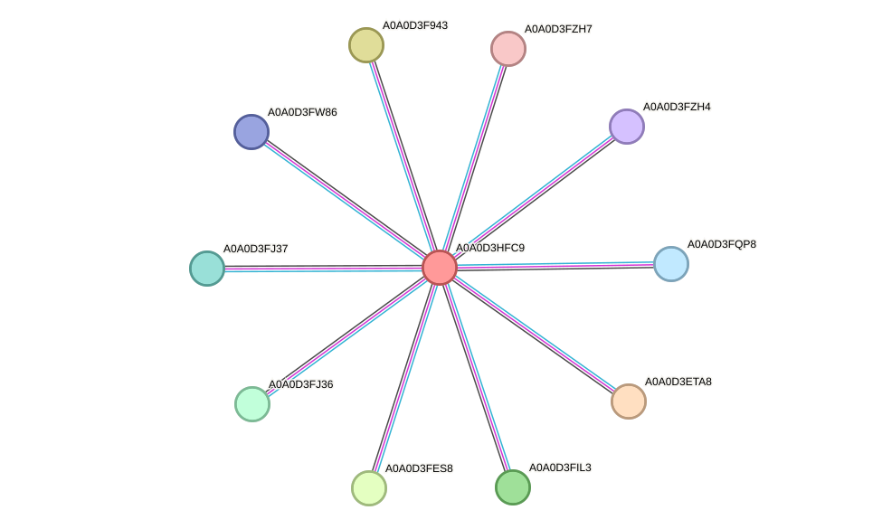 STRING protein interaction network