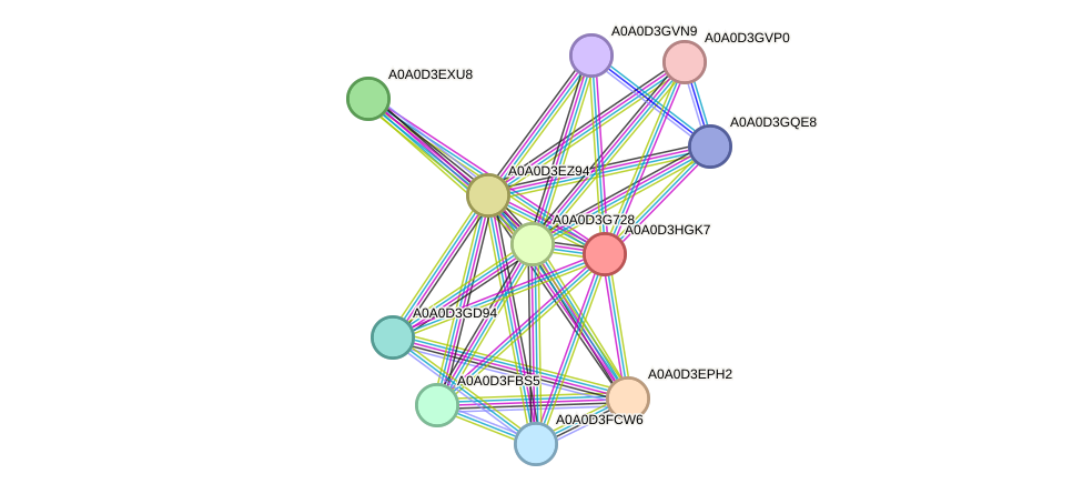 STRING protein interaction network