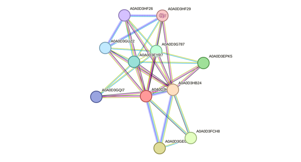 STRING protein interaction network