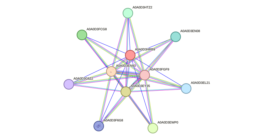 STRING protein interaction network