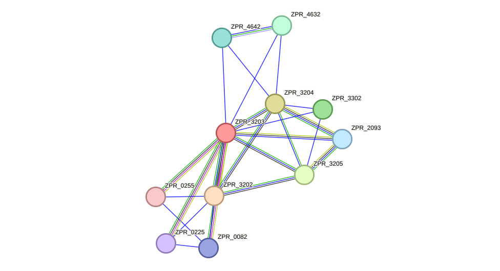 STRING protein interaction network