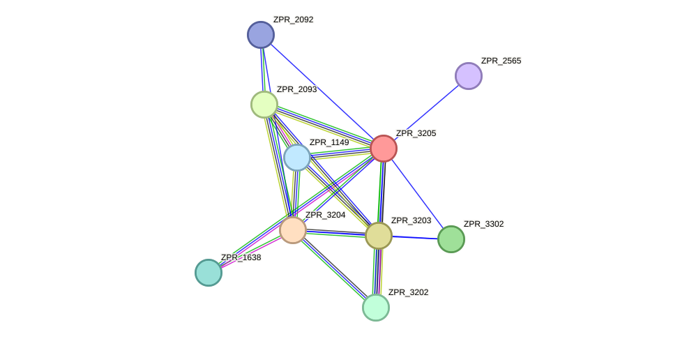 STRING protein interaction network
