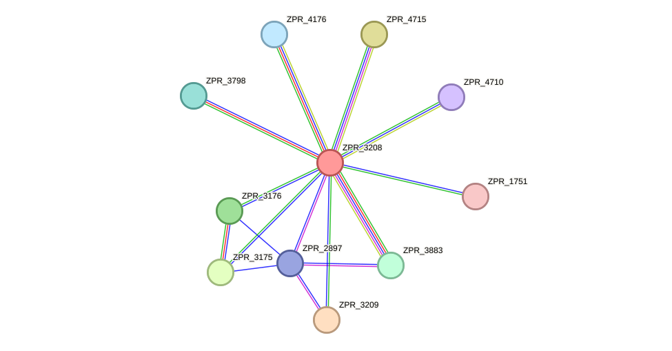 STRING protein interaction network