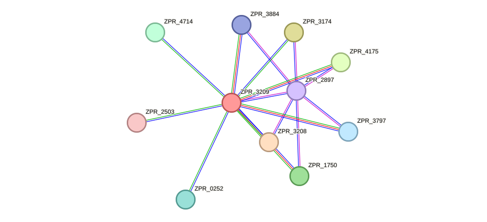 STRING protein interaction network