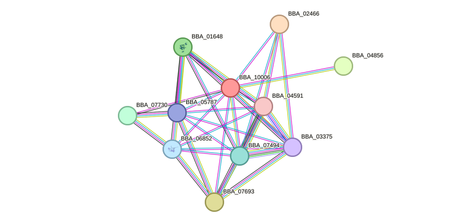 STRING protein interaction network