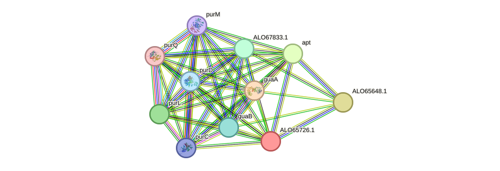 STRING protein interaction network