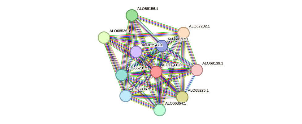 STRING protein interaction network