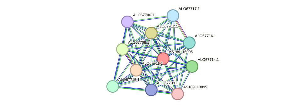 STRING protein interaction network