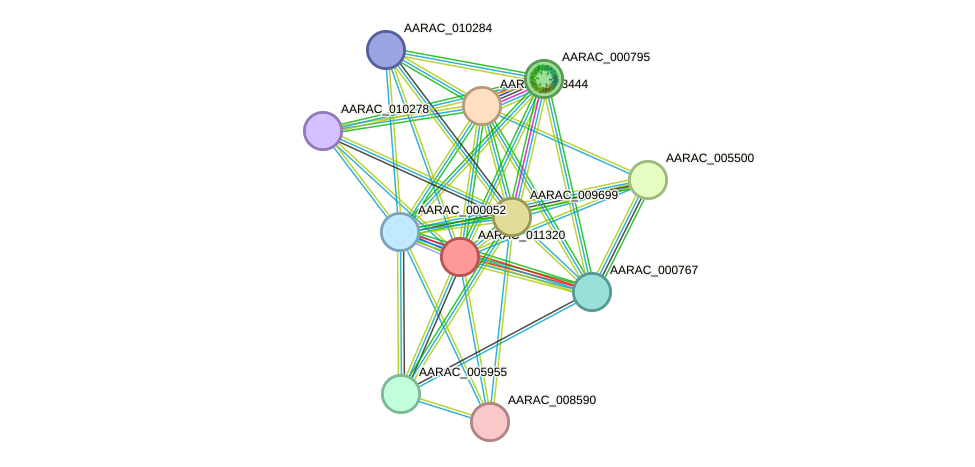 STRING protein interaction network