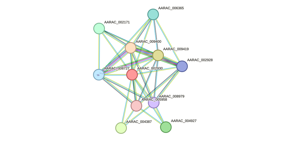 STRING protein interaction network