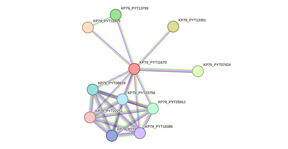 STRING protein interaction network