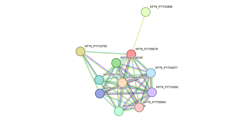 STRING protein interaction network