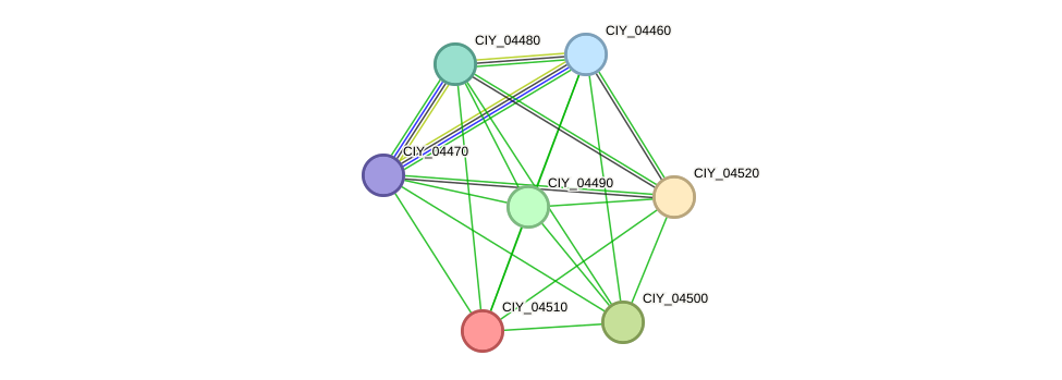 STRING protein interaction network