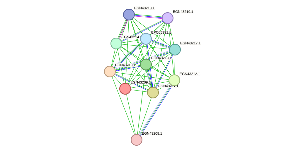 STRING protein interaction network