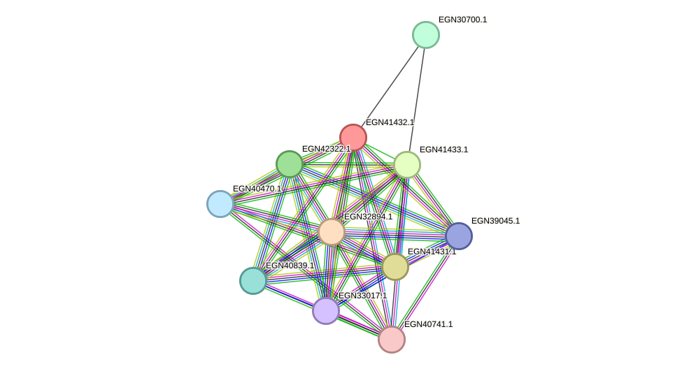 STRING protein interaction network