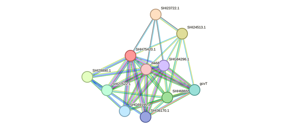 STRING protein interaction network