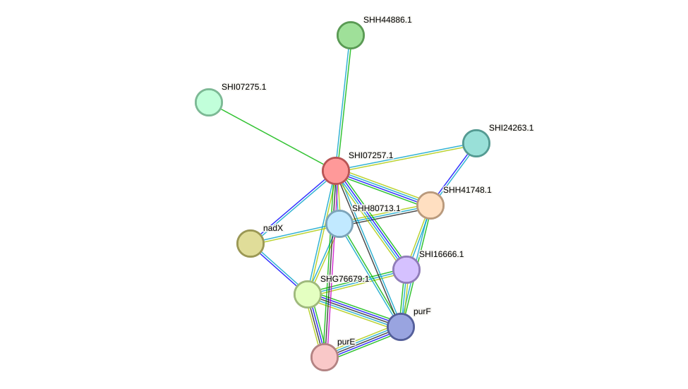 STRING protein interaction network